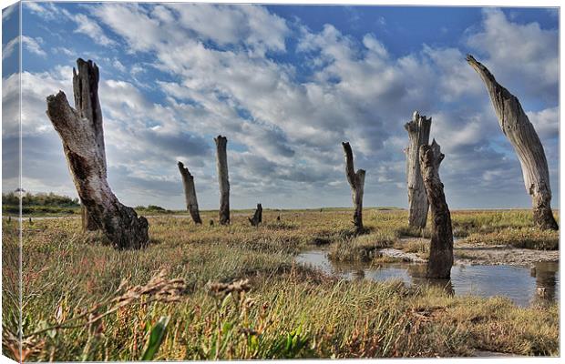 Old wooden posts Thornham marsh Canvas Print by Gary Pearson