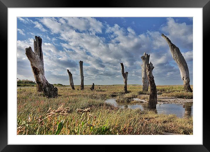 Old wooden posts Thornham marsh Framed Mounted Print by Gary Pearson