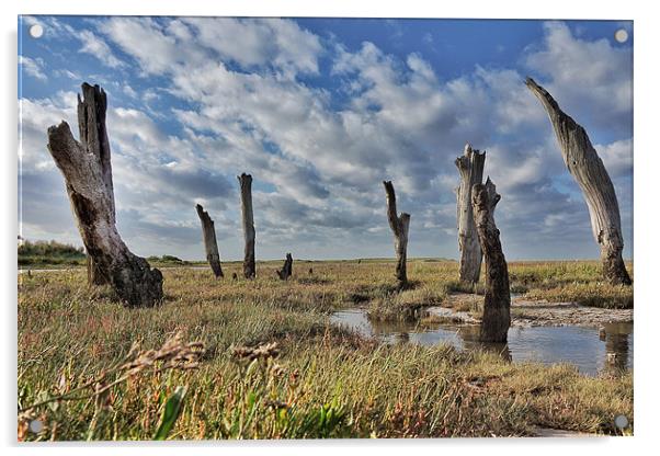 Old wooden posts Thornham marsh Acrylic by Gary Pearson