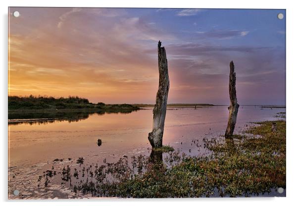 Sunset Thornham Marsh Norfolk Acrylic by Gary Pearson