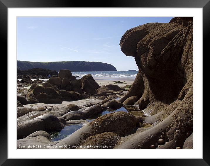Little Haven, Pembrokeshire Framed Mounted Print by DEE- Diana Cosford