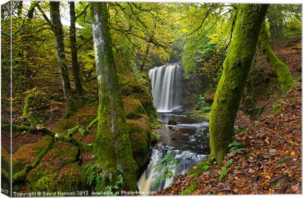 Hidden Falls Canvas Print by David Hancox