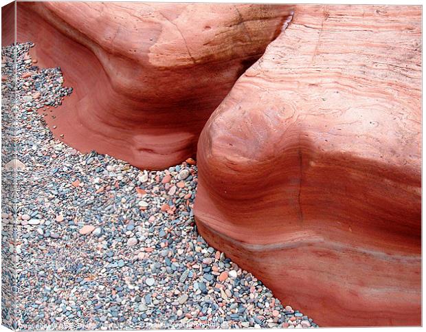 Pink rocks and pebbles on beach Canvas Print by DEE- Diana Cosford