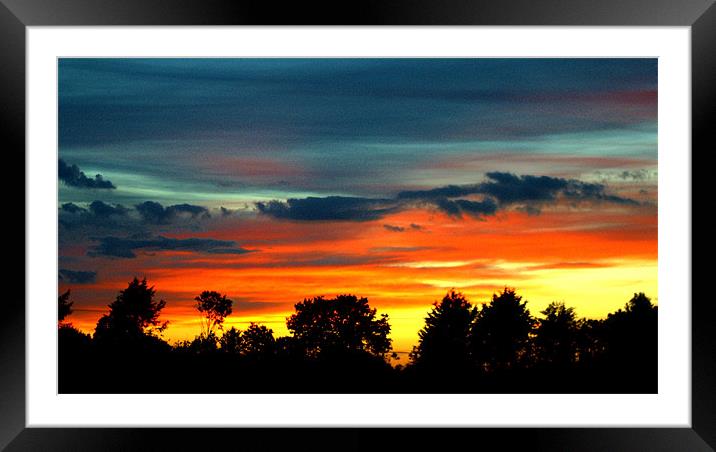 Sunset Thought the Trees Framed Mounted Print by John Boekee