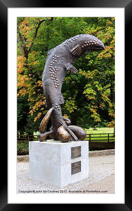 Brown Trout Statue Framed Mounted Print by John McCoubrey