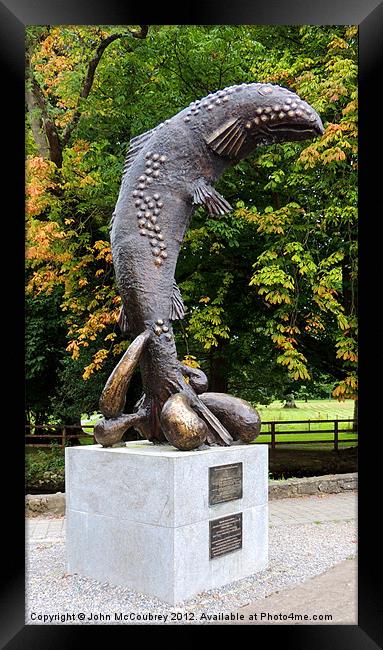 Brown Trout Statue Framed Print by John McCoubrey