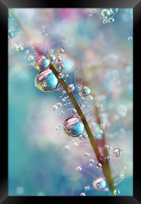 Rainbow Blue Smokey Drops Framed Print by Sharon Johnstone