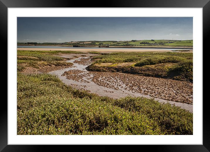Salt Marsh Framed Mounted Print by Dave Wilkinson North Devon Ph