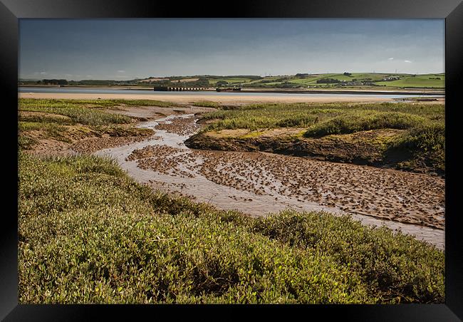 Salt Marsh Framed Print by Dave Wilkinson North Devon Ph