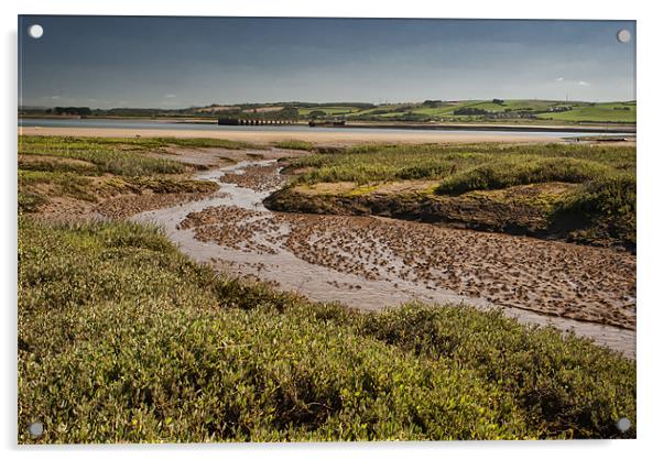 Salt Marsh Acrylic by Dave Wilkinson North Devon Ph