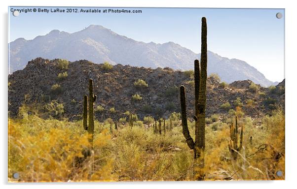 Sonoran Desert in Arizona Acrylic by Betty LaRue