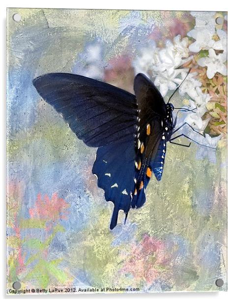 Pipevine Swallowtail Butterfly in Spring Acrylic by Betty LaRue