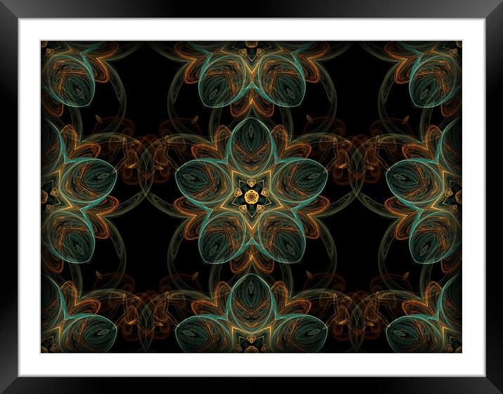 fractal star flowers Framed Mounted Print by Heather Newton