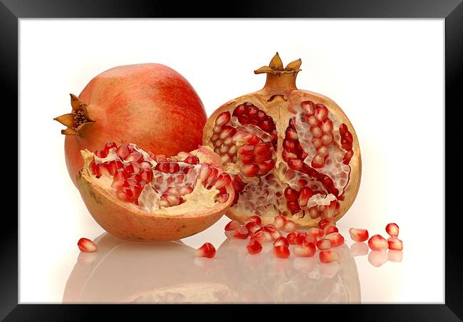 Pomegranate  Framed Print by Augis Skackauskas