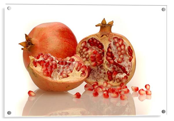 Pomegranate  Acrylic by Augis Skackauskas
