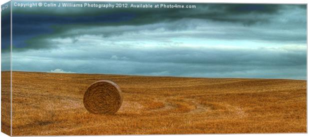 Lone Straw Bale Canvas Print by Colin Williams Photography