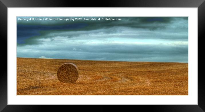 Lone Straw Bale Framed Mounted Print by Colin Williams Photography