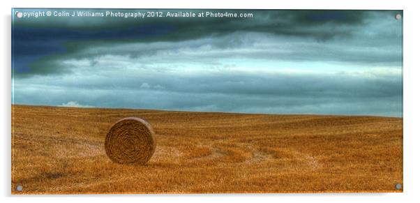 Lone Straw Bale Acrylic by Colin Williams Photography