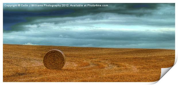 Lone Straw Bale Print by Colin Williams Photography