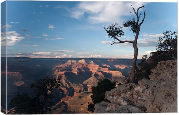 Grand Canyon view Canvas Print by simon  davies