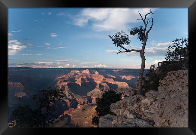 Grand Canyon view Framed Print by simon  davies