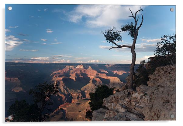 Grand Canyon view Acrylic by simon  davies
