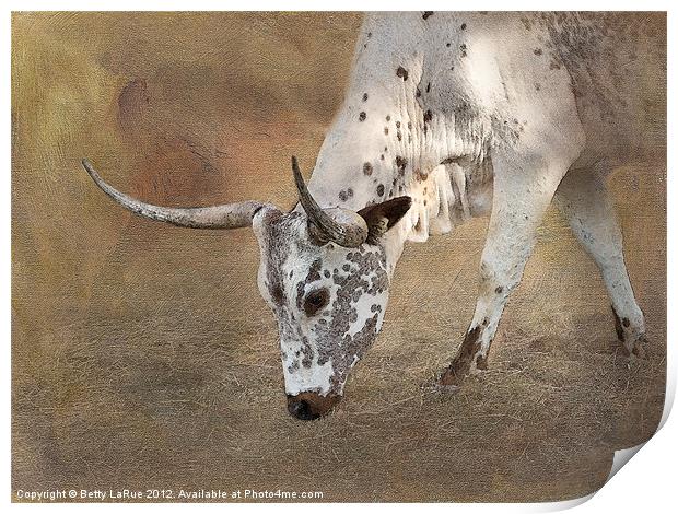 Texas Longhorn Cow Print by Betty LaRue