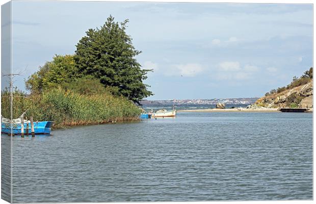 Mouth of River Ropotamo Canvas Print by Tony Murtagh