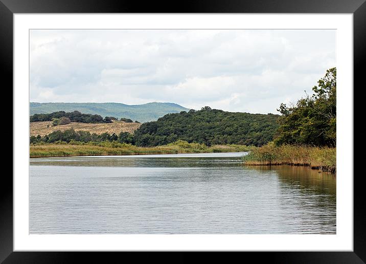 River Ropotamo Framed Mounted Print by Tony Murtagh