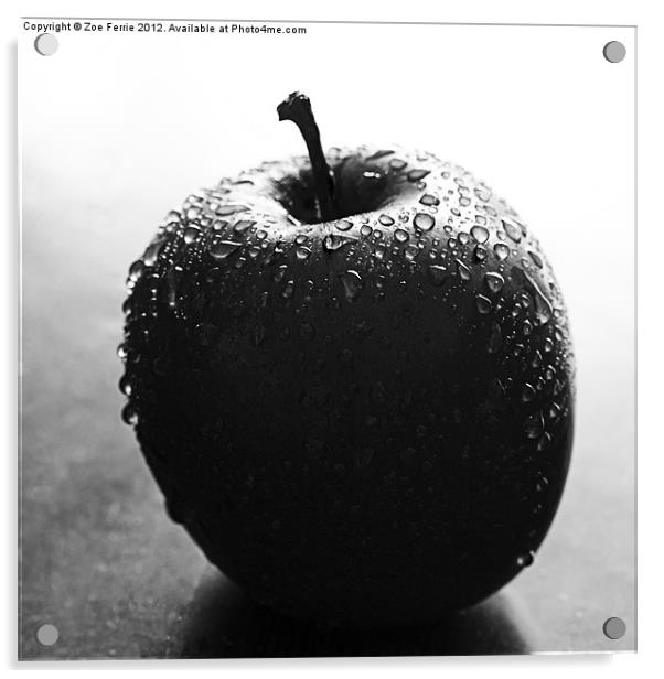 Apple in B&W Acrylic by Zoe Ferrie