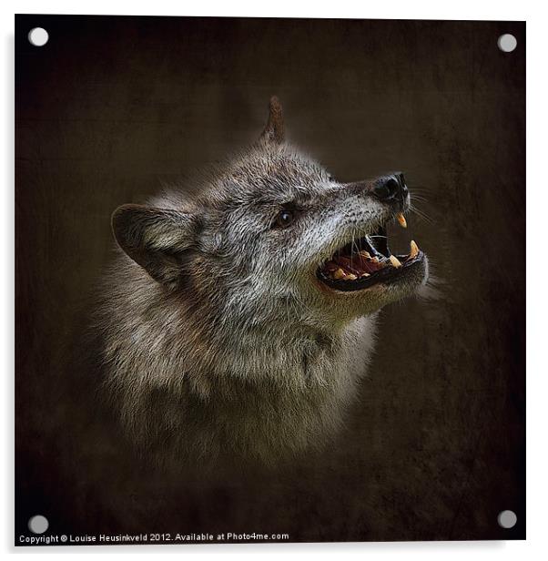 Big Bad Wolf Acrylic by Louise Heusinkveld