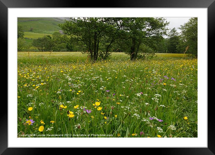 Yellands Meadow, Swaledale Framed Mounted Print by Louise Heusinkveld