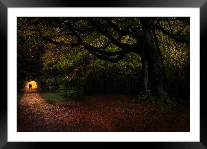 Autumn stroll Framed Mounted Print by Robert Fielding