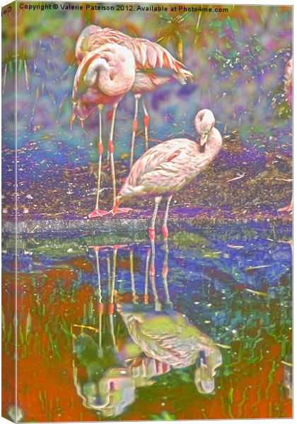 Dreaming Flamingos Canvas Print by Valerie Paterson
