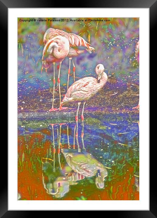 Dreaming Flamingos Framed Mounted Print by Valerie Paterson