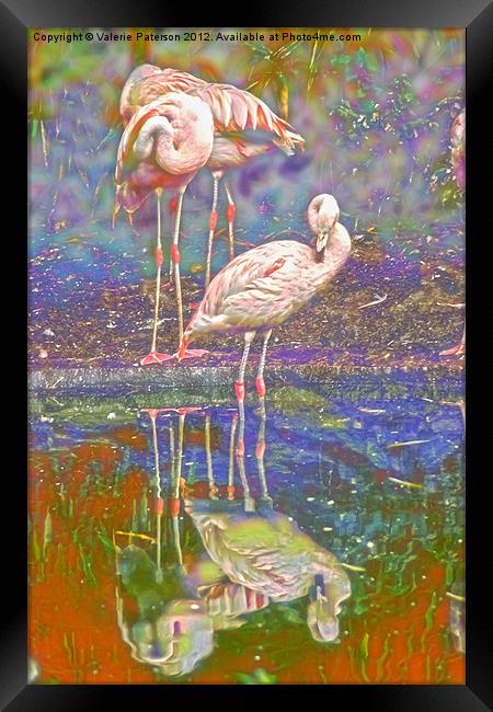 Dreaming Flamingos Framed Print by Valerie Paterson