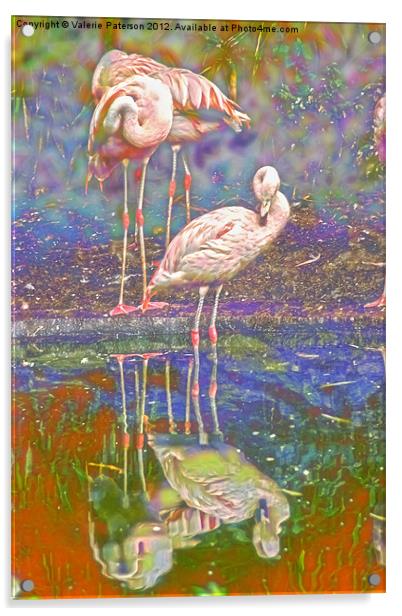 Dreaming Flamingos Acrylic by Valerie Paterson