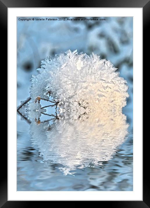 Snowball Framed Mounted Print by Valerie Paterson