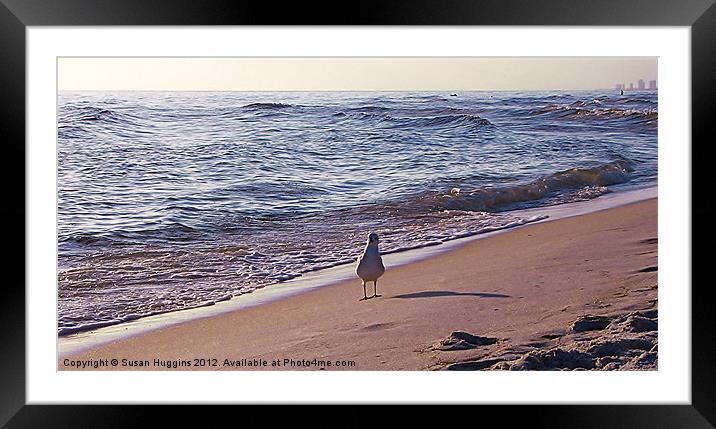 Are you looking at me? Framed Mounted Print by Susan Medeiros