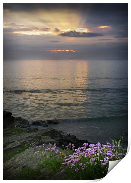 EVENING LIGHT St BRIDES BAY #2 Print by Anthony R Dudley (LRPS)