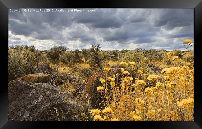 Oregon High Desert Vista Framed Print by Betty LaRue