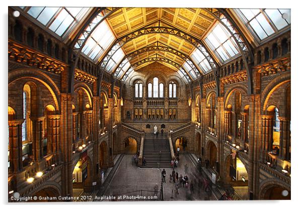 Natural History Museum Acrylic by Graham Custance