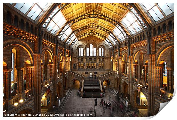 Natural History Museum Print by Graham Custance