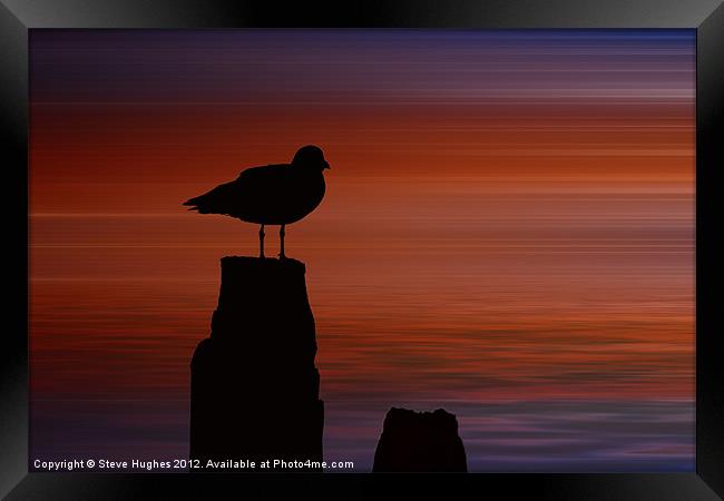 Bird Silhouette manipulation Framed Print by Steve Hughes