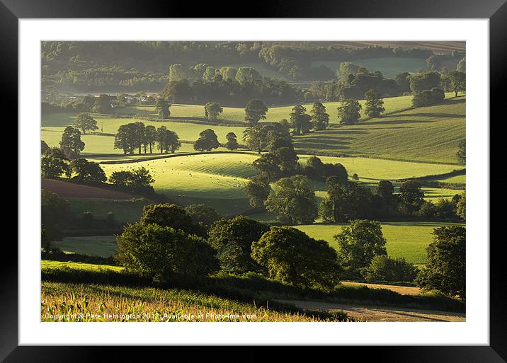 Morning light on fields Framed Mounted Print by Pete Hemington