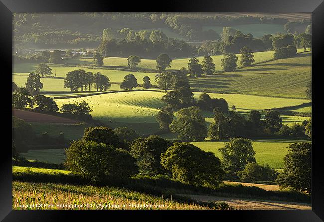 Morning light on fields Framed Print by Pete Hemington