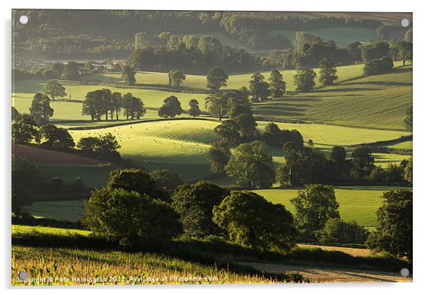 Morning light on fields Acrylic by Pete Hemington