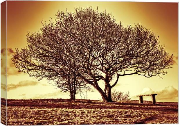 Golden Tree Canvas Print by Mike Gorton