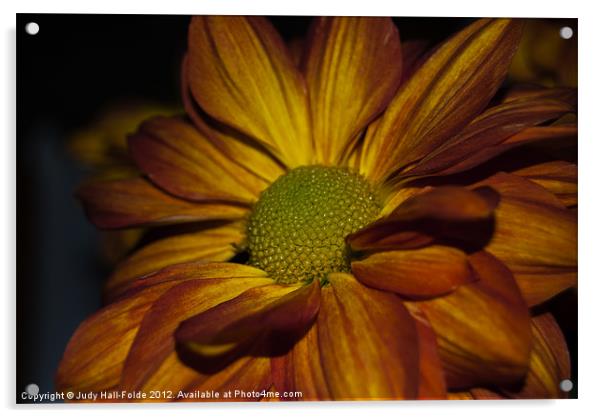 Autumn Mum Acrylic by Judy Hall-Folde