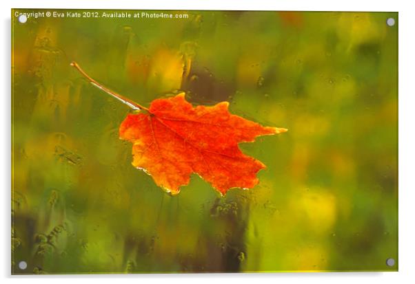 Leaf on Windshield Acrylic by Eva Kato